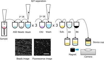 Development of a quantitative thyroid-stimulating hormone assay system for a benchtop digital ELISA desktop analyzer